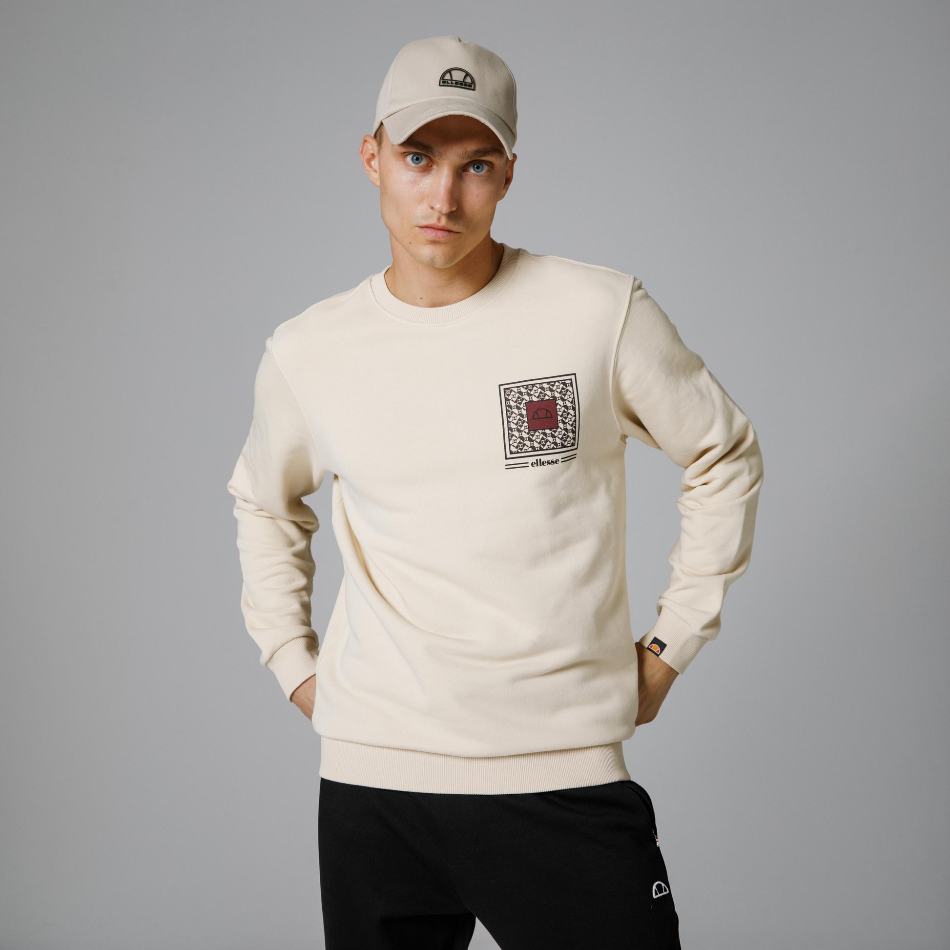 Ellesse Erkek Sweatshirt EM232-BG