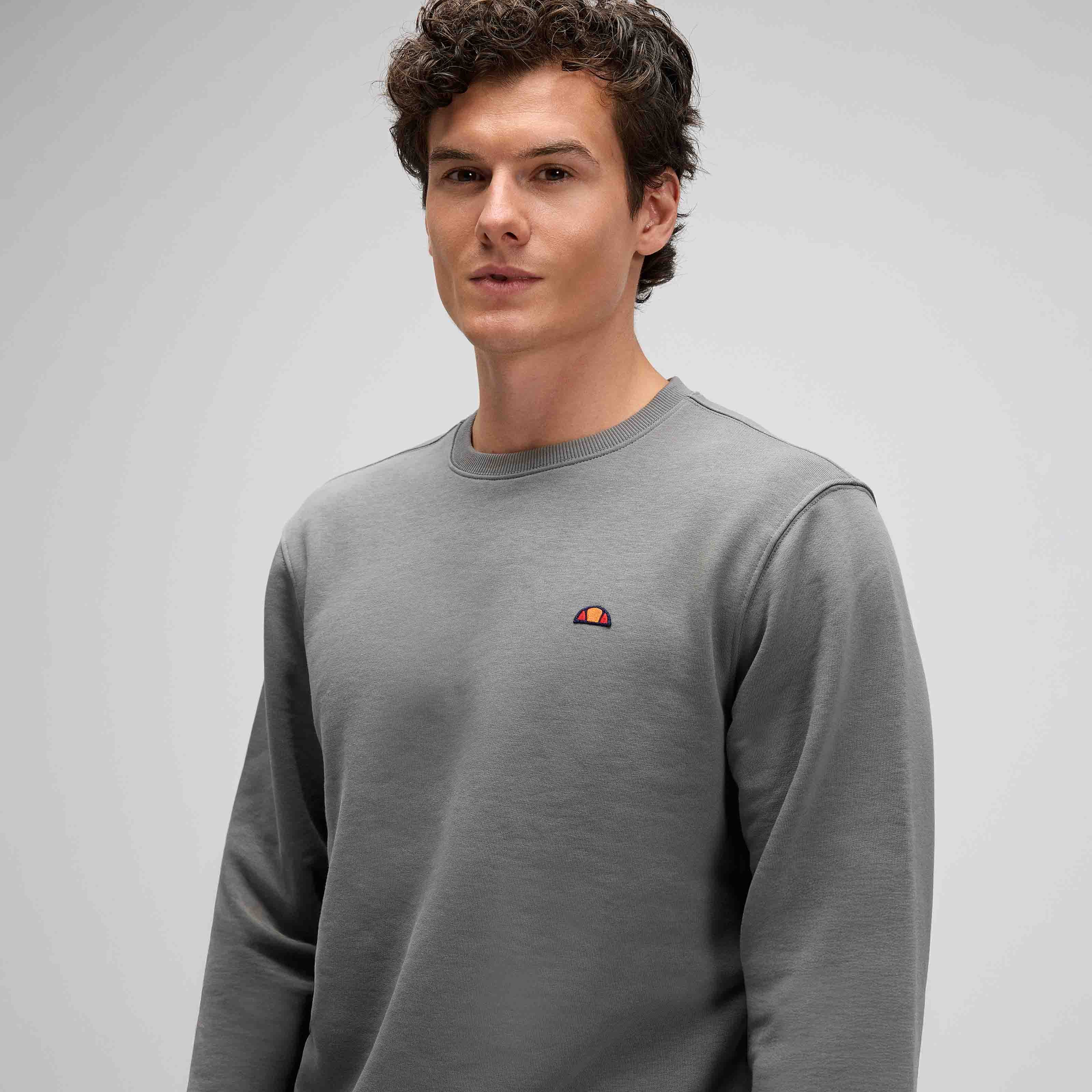 Ellesse Erkek Sweatshirt EM579-ANT