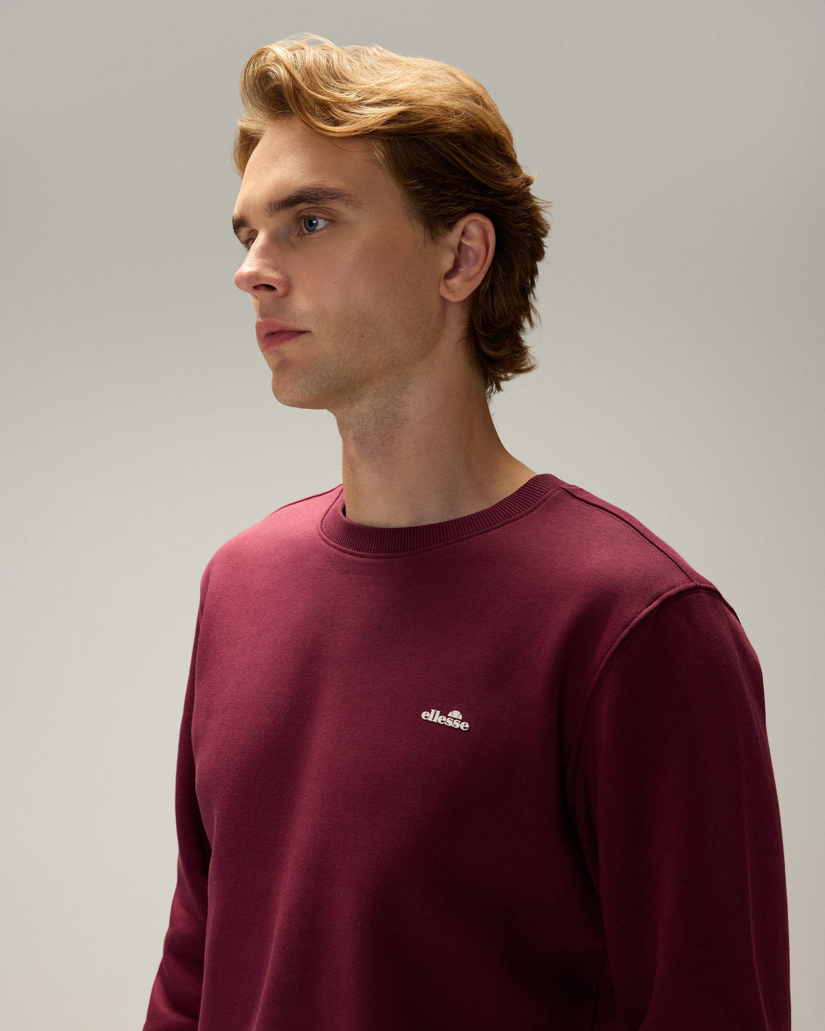 Ellesse Erkek Sweatshirt 6WM3003-BRD