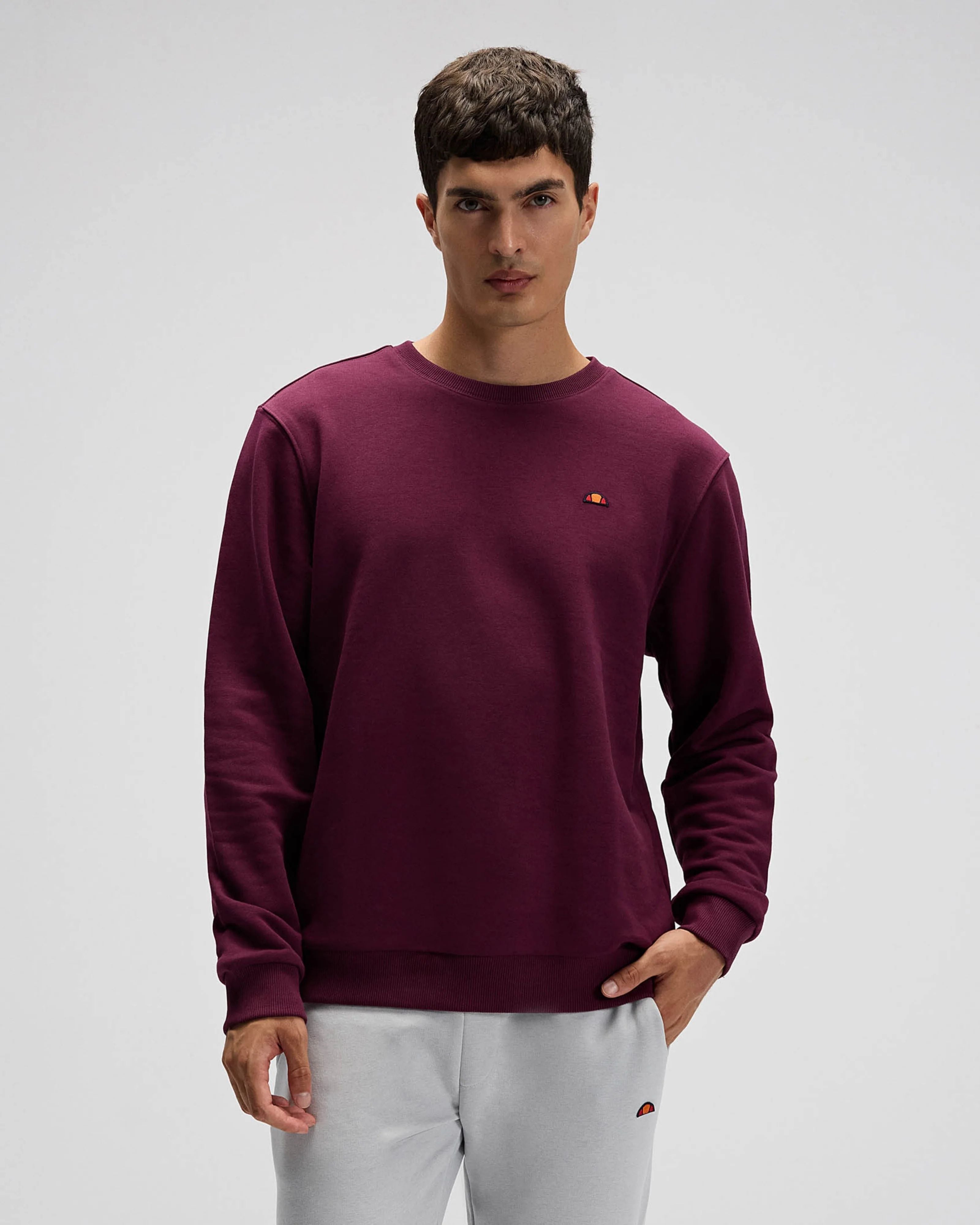 Ellesse Erkek Sweatshirt EM579-BRD