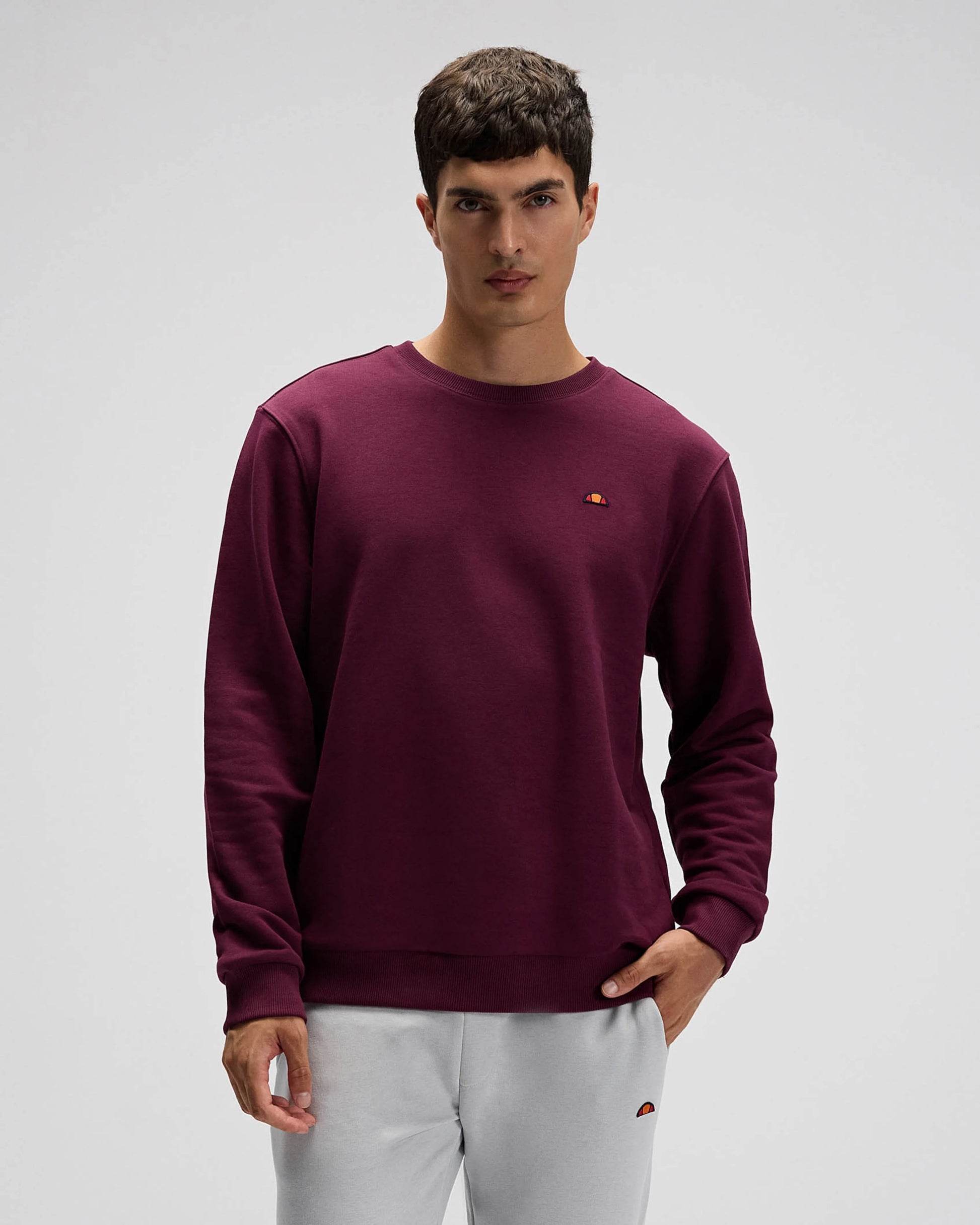 Ellesse Erkek Sweatshirt EM579-BRD