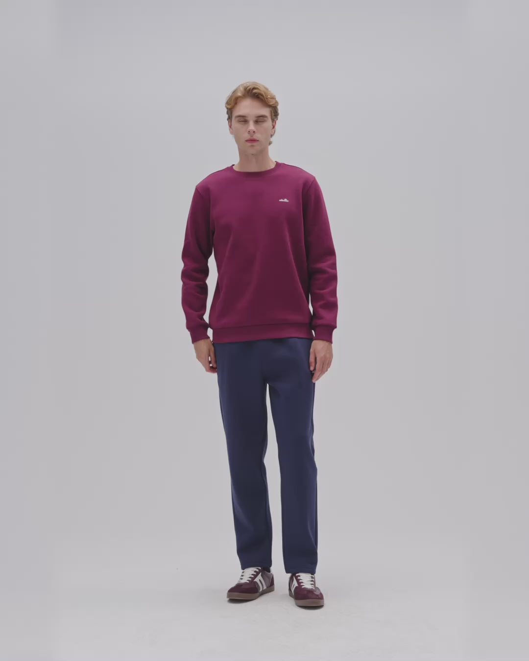 Ellesse Erkek Sweatshirt 6WM3003-BRD