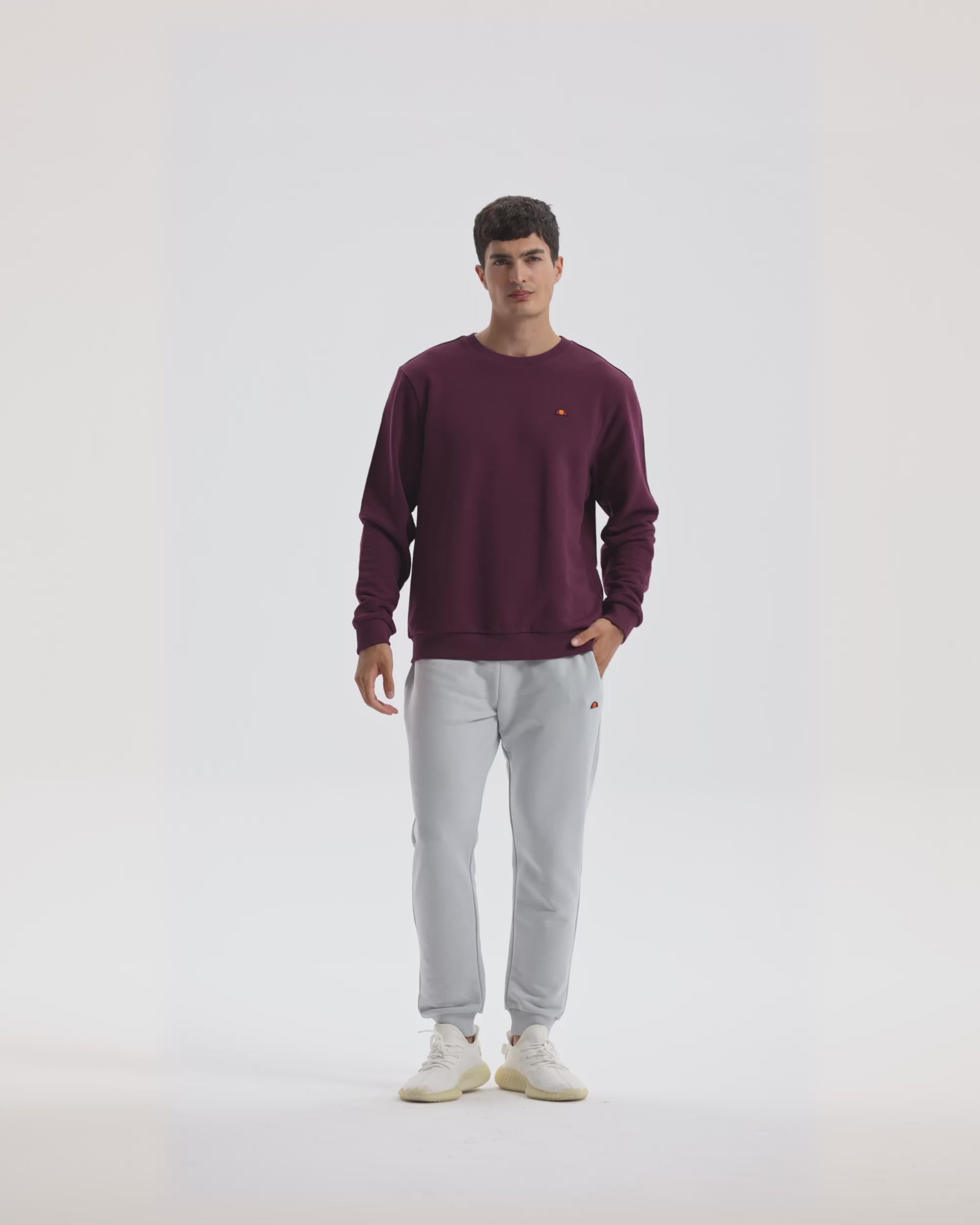 Ellesse Erkek Sweatshirt EM579-BRD